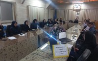 برگزاری کارگاه مراقبت های ادغام یافته سلامت مادران در شبکه بهداشت و درمان چالدران