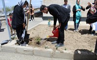 کاشت نمادین نهال به مناسبت هفته ملی جوانی جمعیت توسط نوعروسان در محوطه بیمارستان شهید بهشتی چالدران